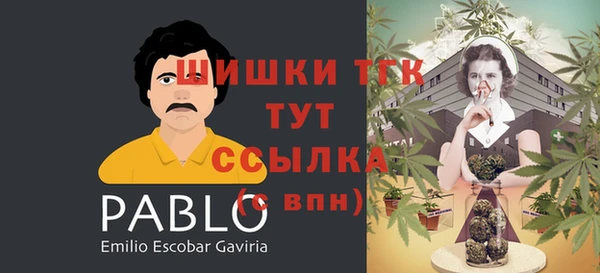 круглые Богданович