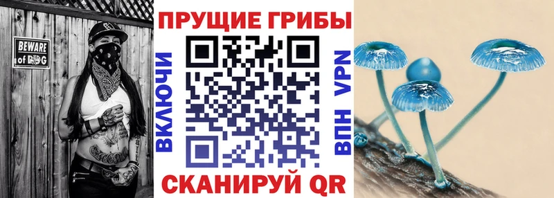 OMG вход  Тамбов  Галлюциногенные грибы прущие грибы 